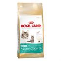 Picture of Royal Canin Maine Coon Kitten 4kg