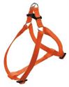 Picture of Easy P Harness Orange Medium