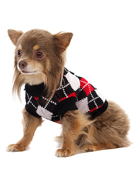 argyle dog sweater