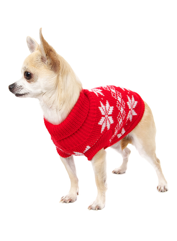 red dog jumper