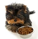 Picture for category Dog Food - Puppy