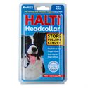 Picture of Halti Head Collar