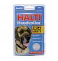 Picture of Halti Headcollar Black Size 5