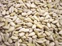 Picture of Aej Sunflower Hearts 20kg