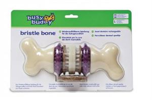 busy buddy bristle bone