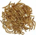 Picture of Aej Dried Mealworms 12.55kg