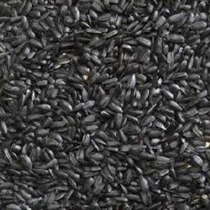 Picture of Bucktons Black Sunflower 12.75kg