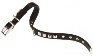 Picture of Dual Pyramids Cf20/43 Nylon Collar Black 20mm X35-43cm