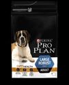 Picture of Pro Plan Large Breed Robust Adult Chicken 14kg