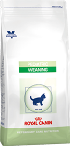 pediatric royal canin
