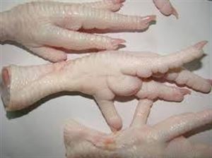 Picture of Raw Chicken Feet 1kg