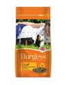 Picture of Burgess Excel Guinea Pig Nuggets 3kg