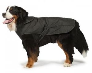 Picture of 2 In 1 Ultimate Black Harness dog Coat 25cm