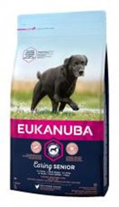 Eukanuba senior large breed sales