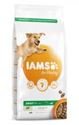 Picture of Iams Vitality Adult Large Dog Food With Lamb 2kg