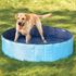 Picture of Dog Pool Trixie 