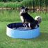 Picture of Dog Pool Trixie 