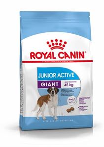 Picture of Royal Canin Giant Junior Active 15kg