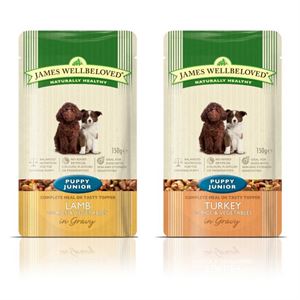 remote control dog argos