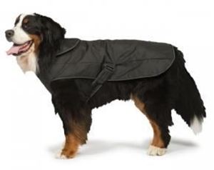 Picture of 2 In 1 Ultimate Black Harness dog Coat 50cm