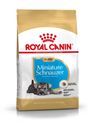 Picture of Royal Canin Miniature Schnauzer Puppy 1.5kg
