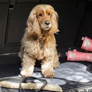 Picture of Car Boot Mat