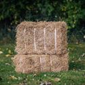 Picture of Hay bale